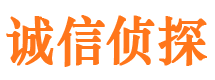 广宁市调查公司